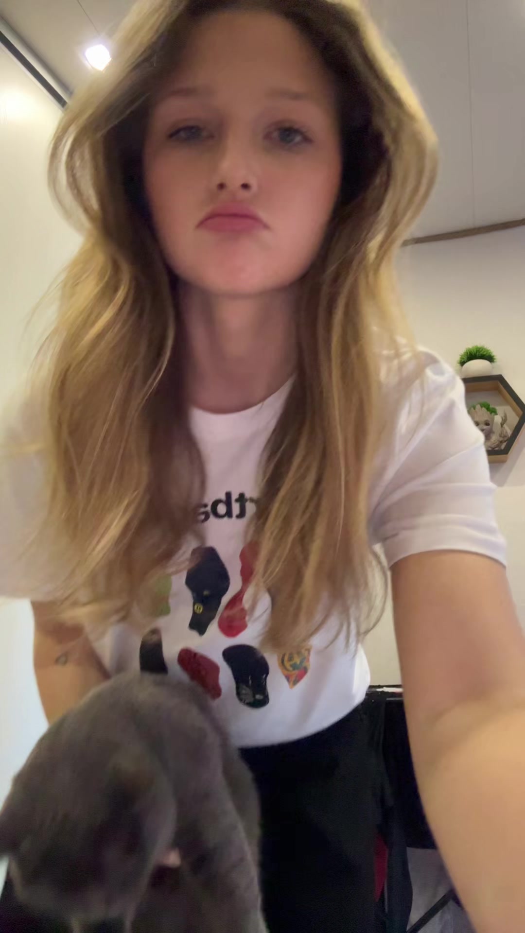 @qzhsd
