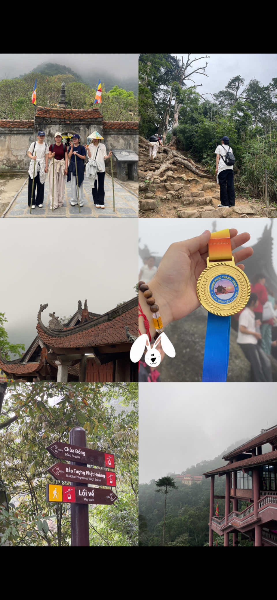 @Hồng Thảo 🐰