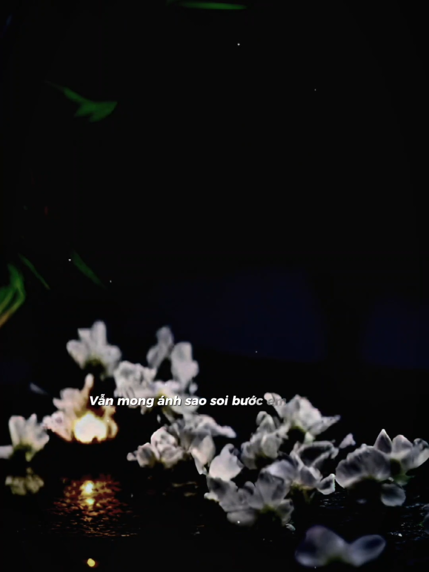 @𝐓𝐫ạ𝐦𝐌𝐮𝐬𝐢𝐜🎧
