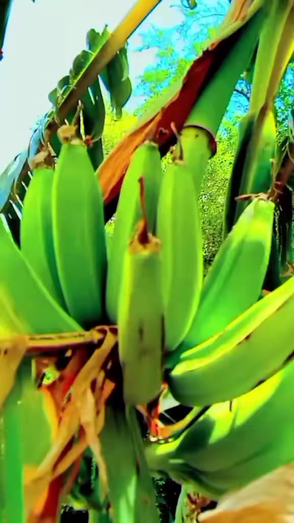 @baلoچ💕💞❤️