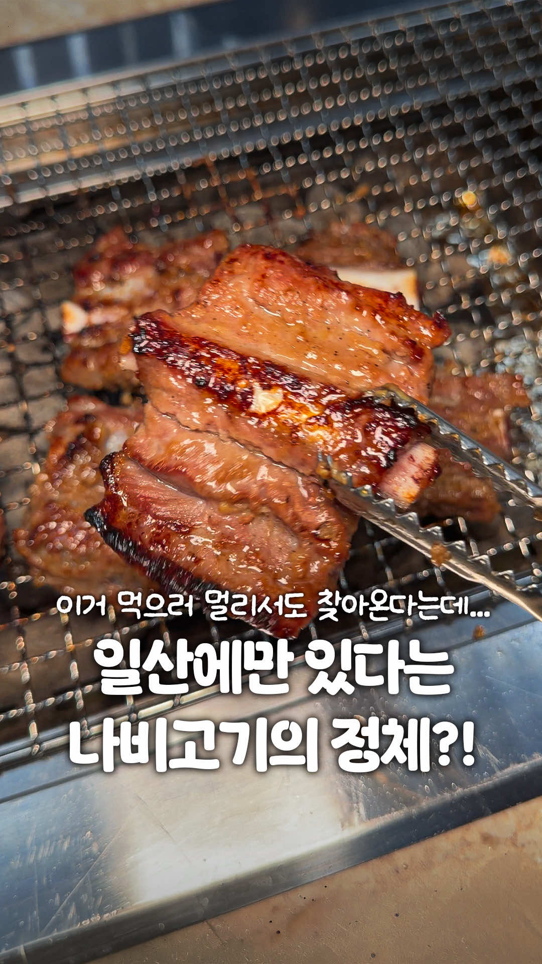 @일산갈고양