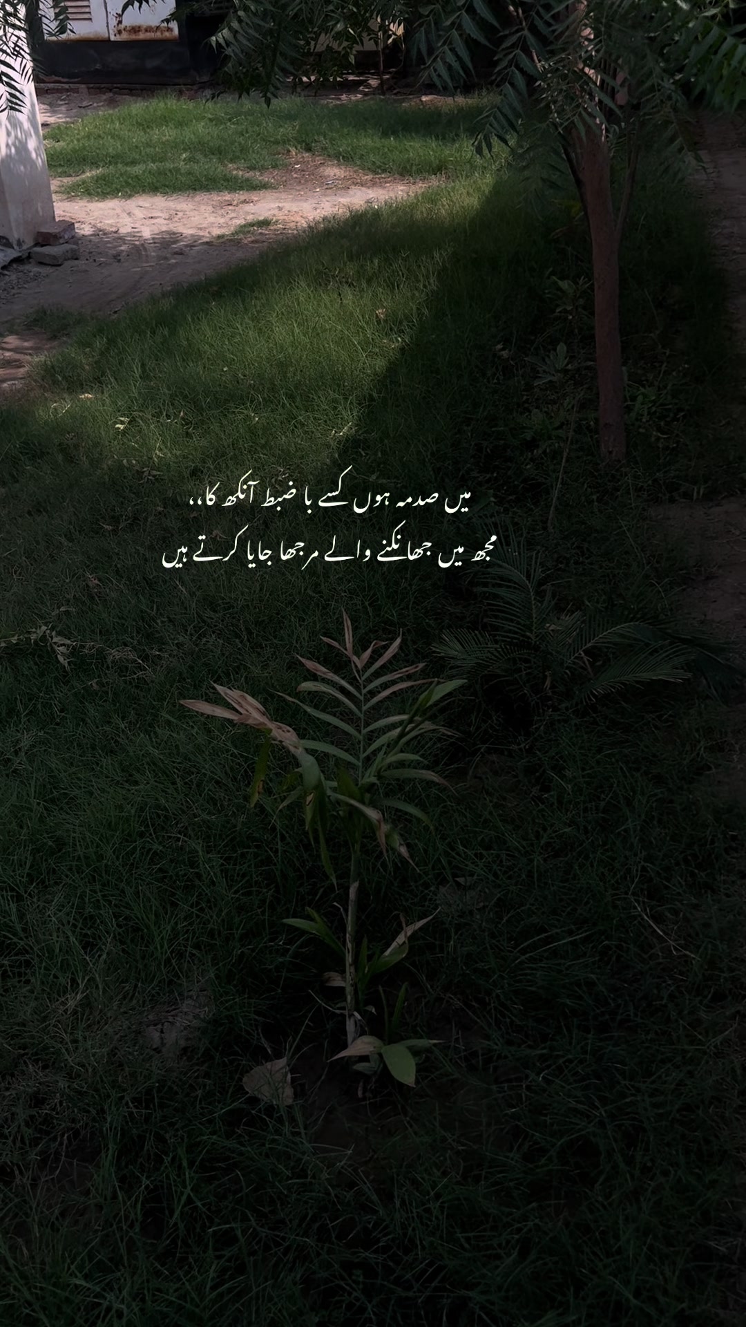 @🌸~