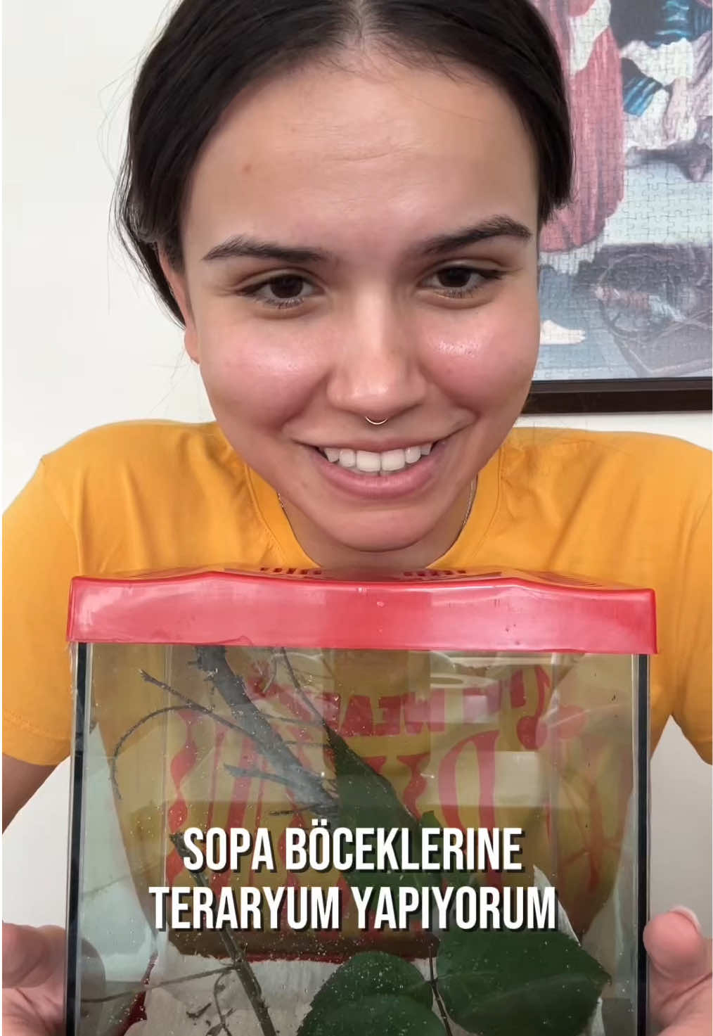@Elif Sezgin