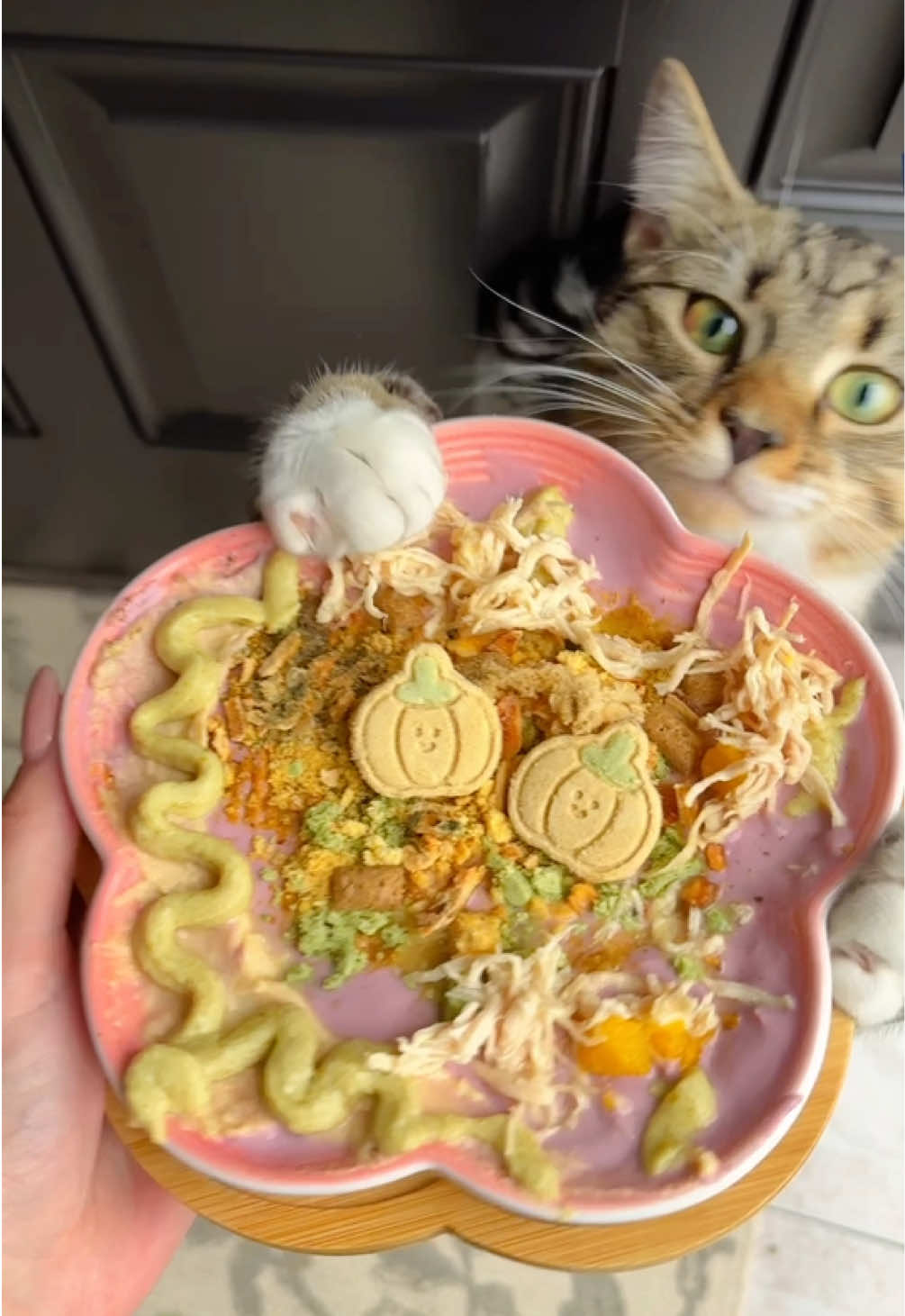 @Juno 💫🐈