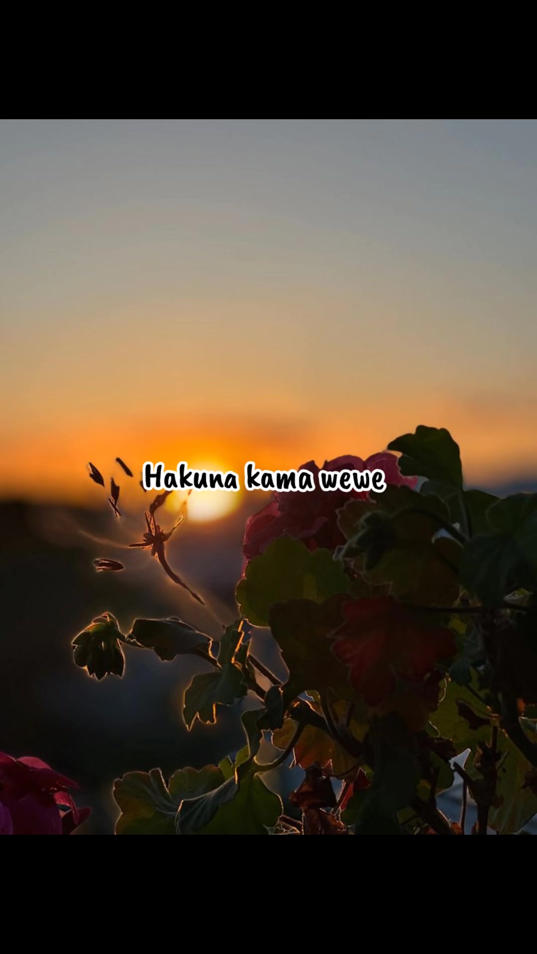 @@Grace Kaki✨