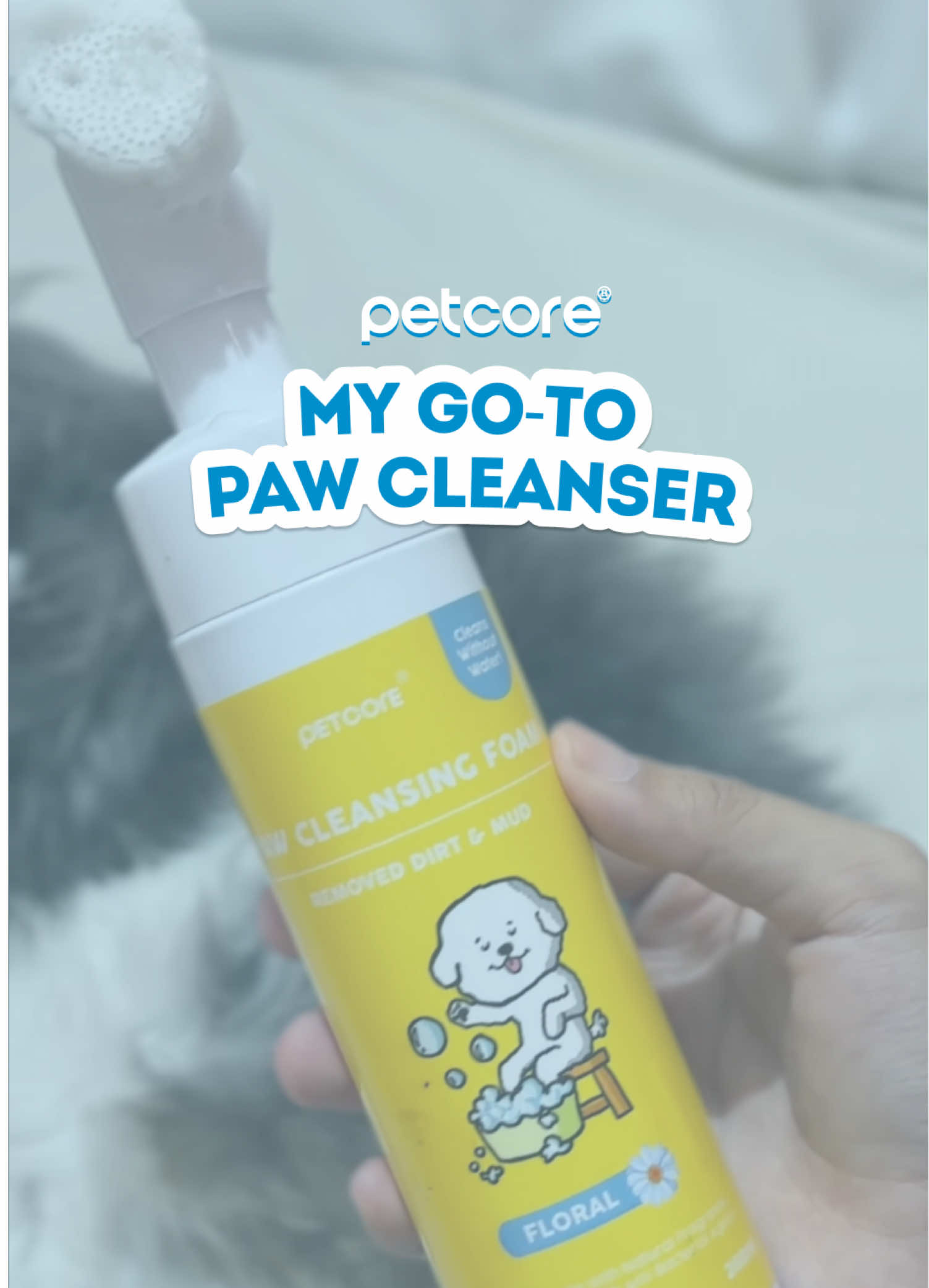 @Petcoreph