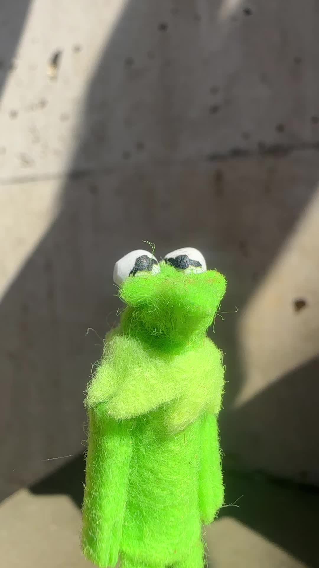 @🐸 Crashout Kermy 🐸