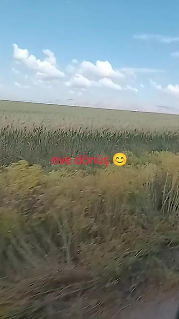 @🦂 GÜNEŞ 🦂