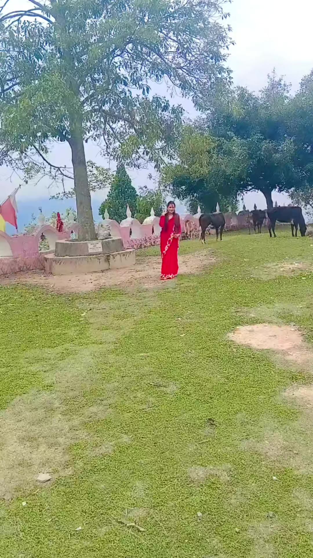 @Grishma Bhandari
