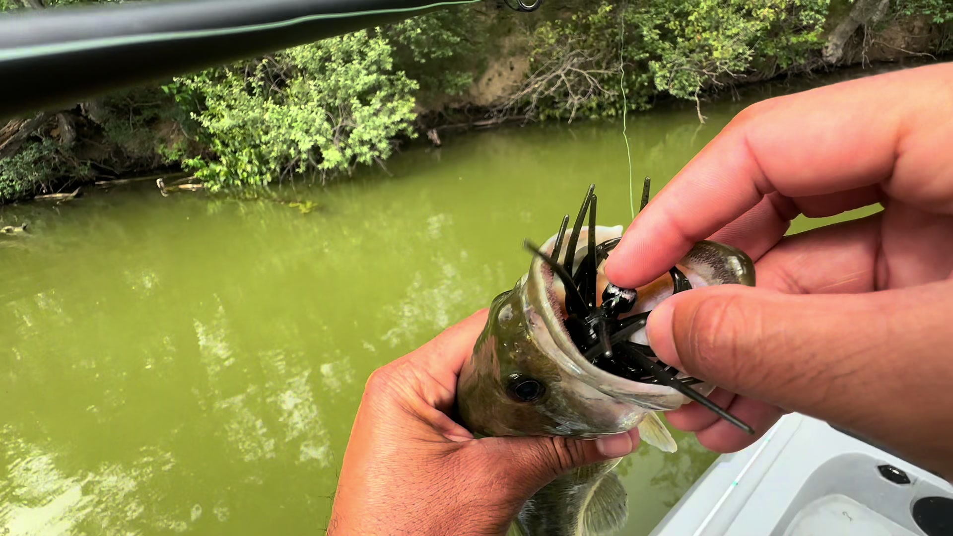 @BigBassFish