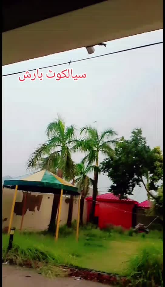 @❣️🦅 Zubair Multani 🦅❣️