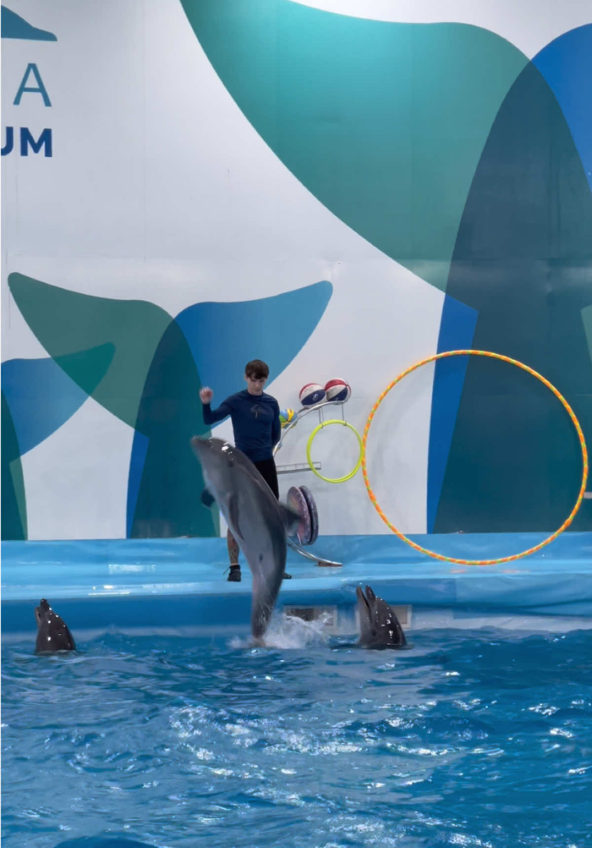 @Pattaya Dolphinarium