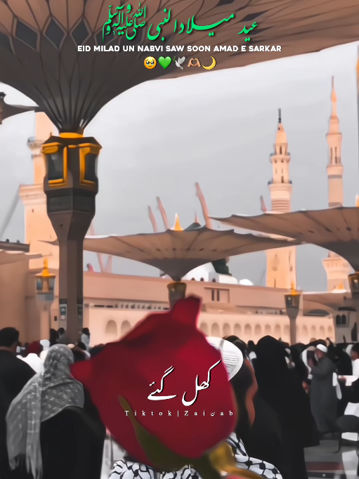 @𝐙𝐀𝐈ن𝐀𝐛ރ