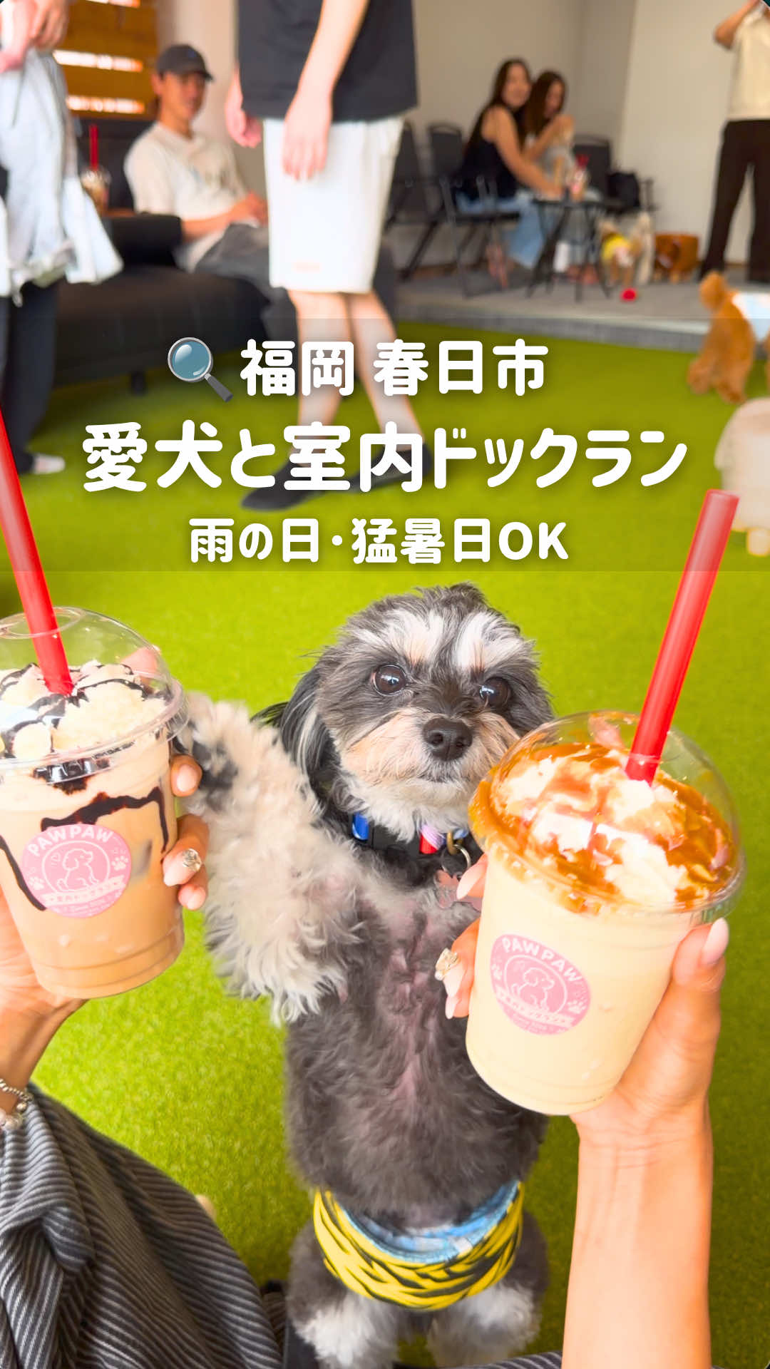 @おーちかMAP🌈🐾【福岡･九州･海外旅行🗺】