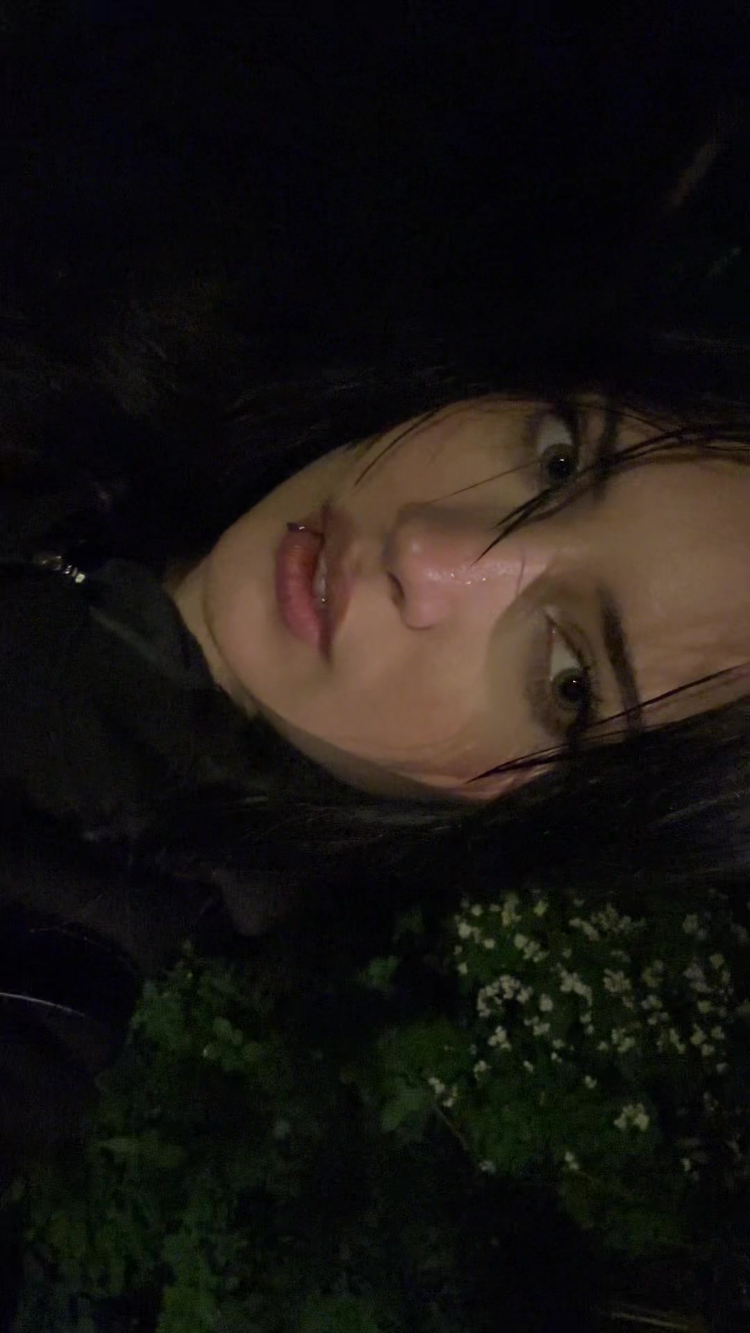 @bunny