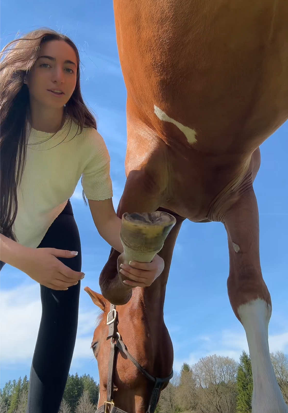 @Juliana Villella