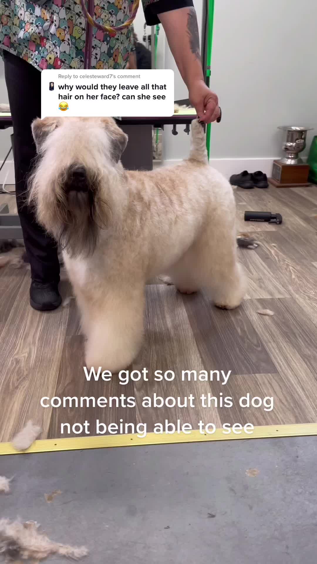 @Groom Haüs