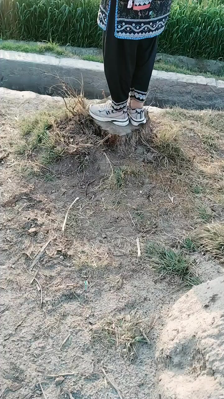 @Zahra ❤️