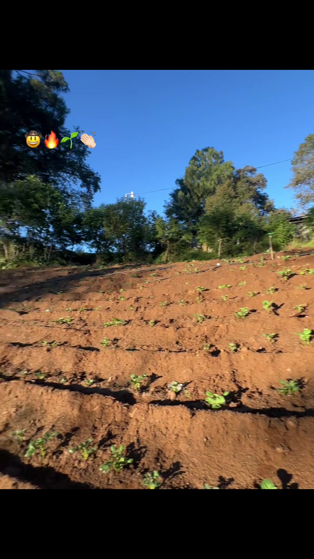 @Victor🌱🚜