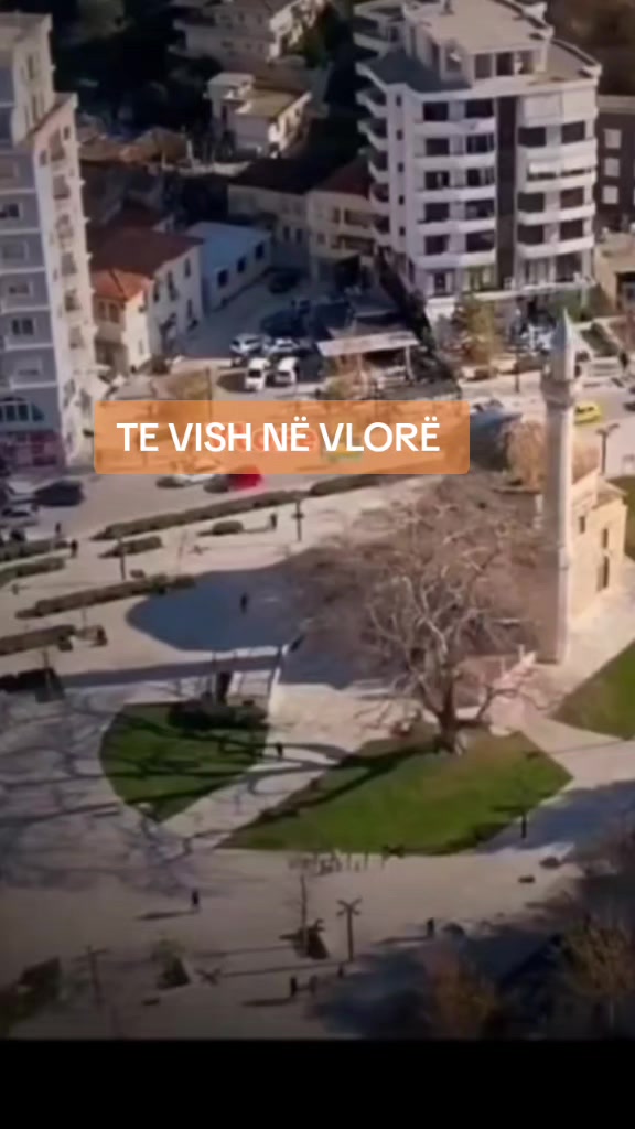 @VLORA 🦀