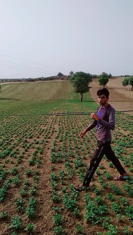 @Sohan Lal Nahar