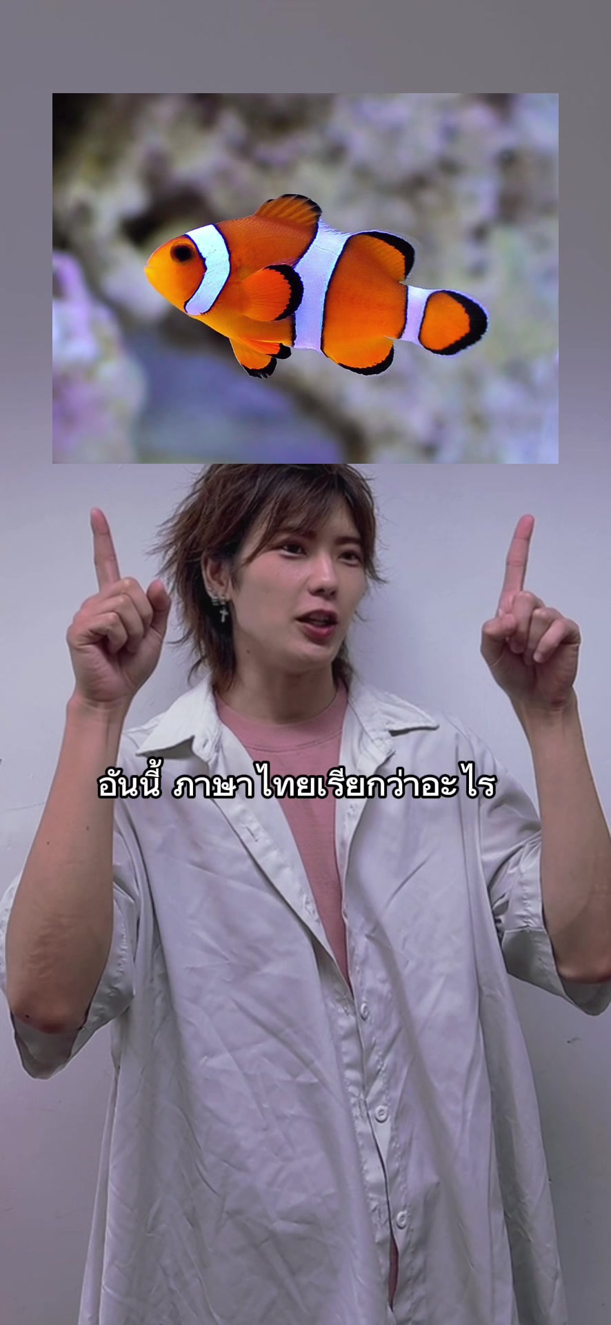 @Senseidays