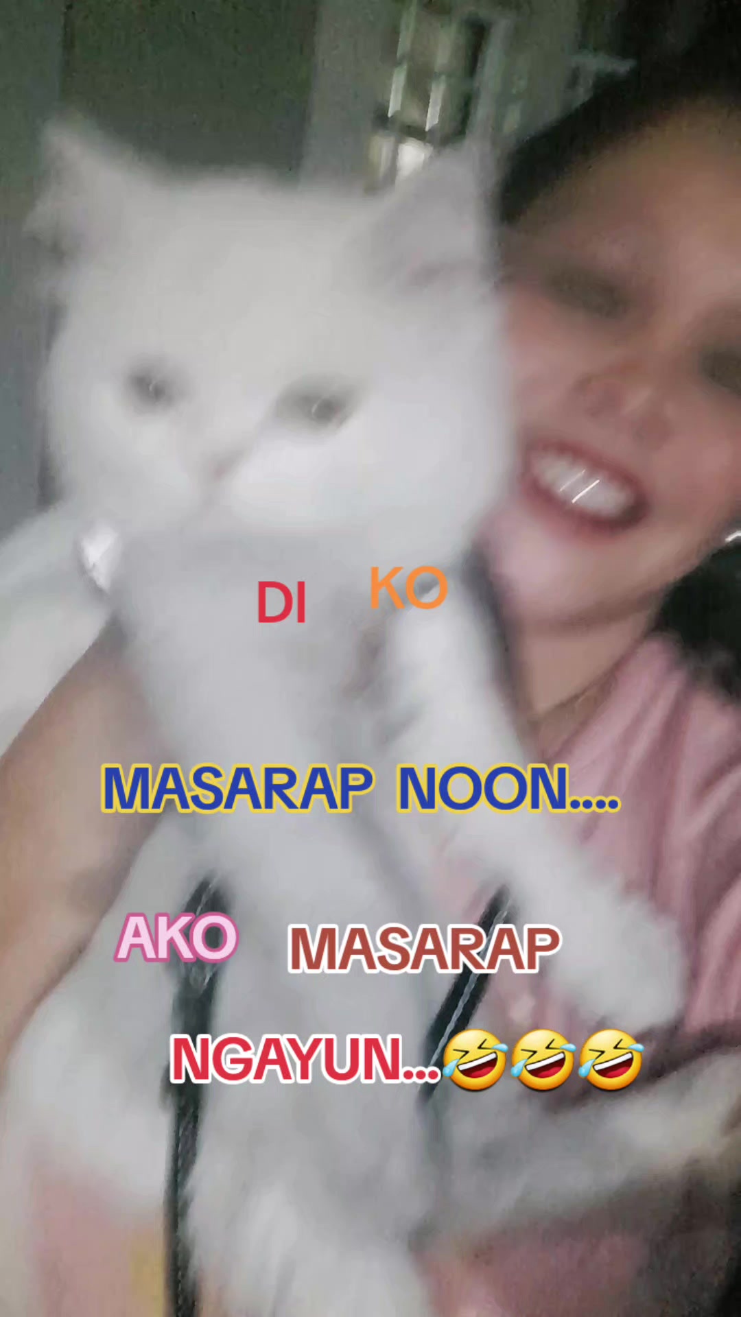 @harlan and ate💚💚💚💚💚