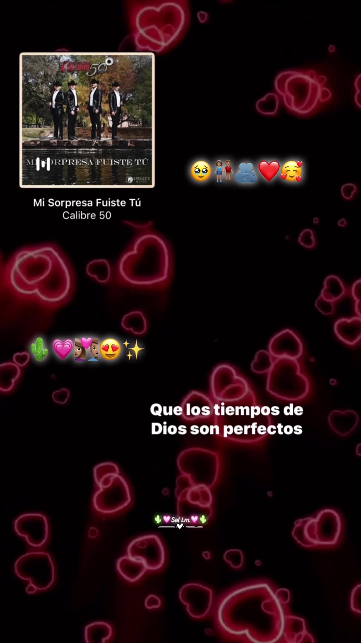 @🌱🦥Sel Lm🦥🌱