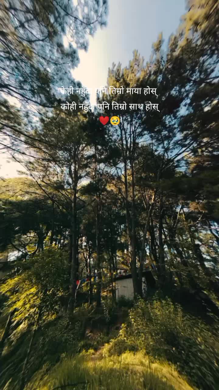 @ᥫ᭡