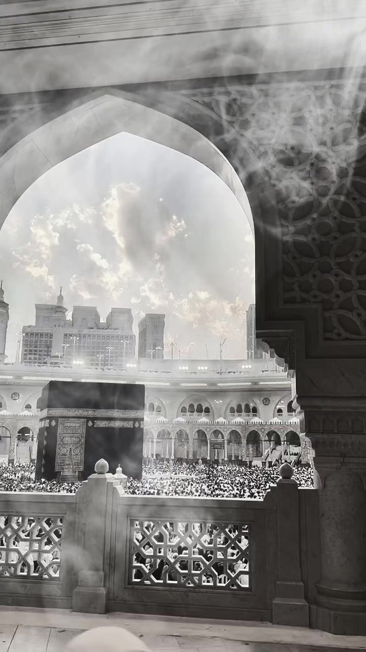 @Usama Tahir❤️🩹