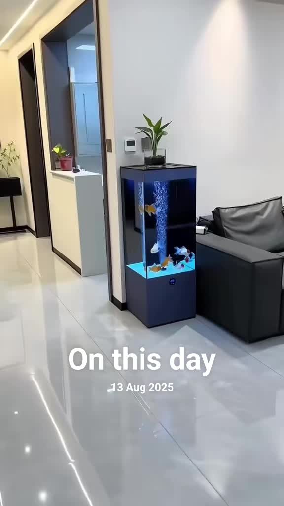 @Shopsavvy28