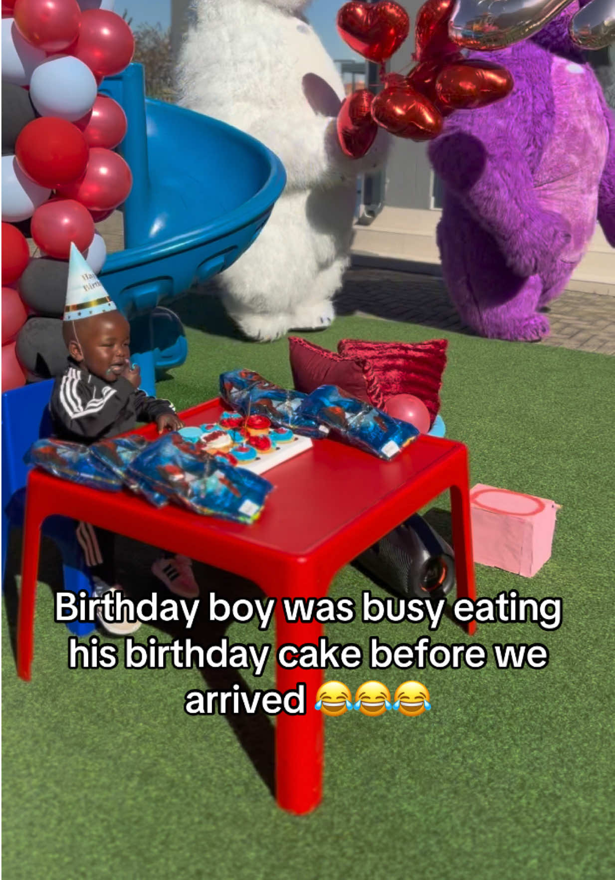 @dancingmascotssa