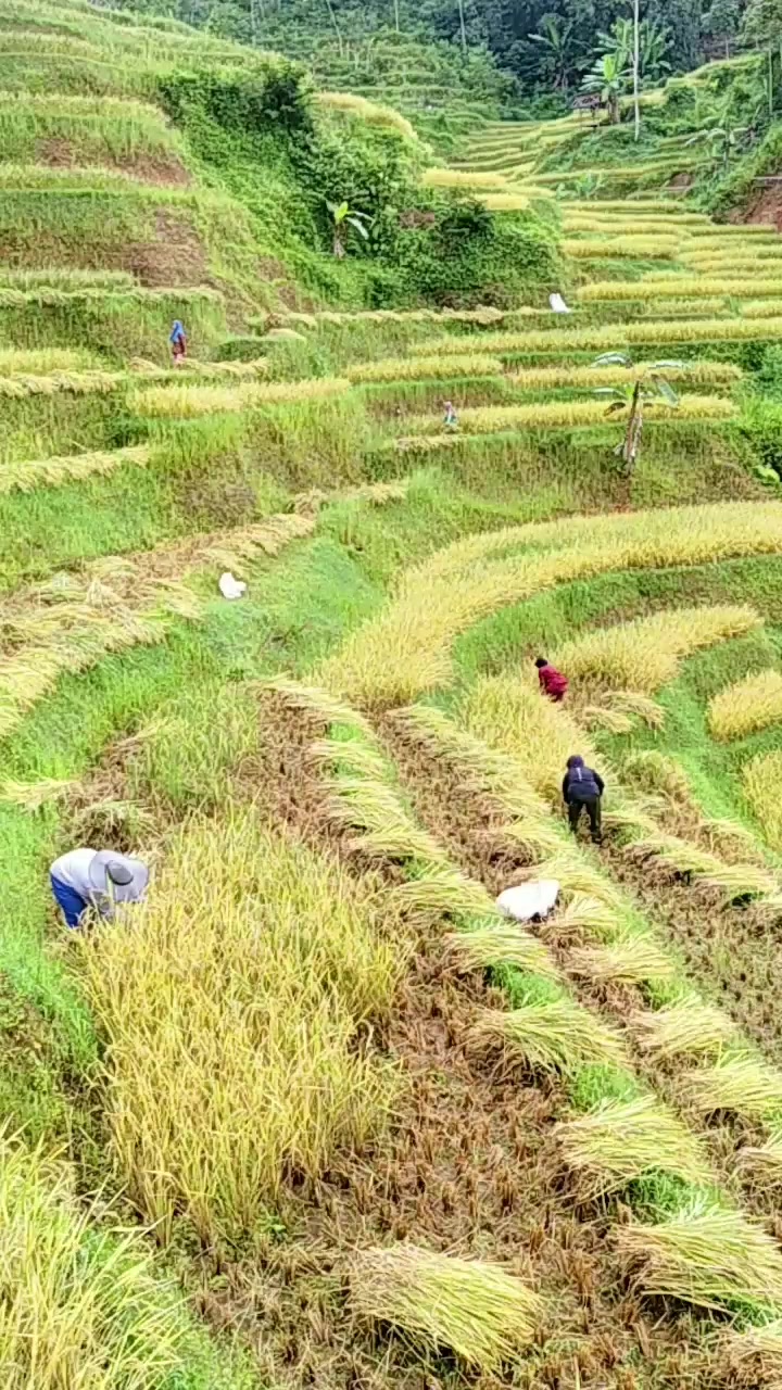 @PT. BHD INDONESIA