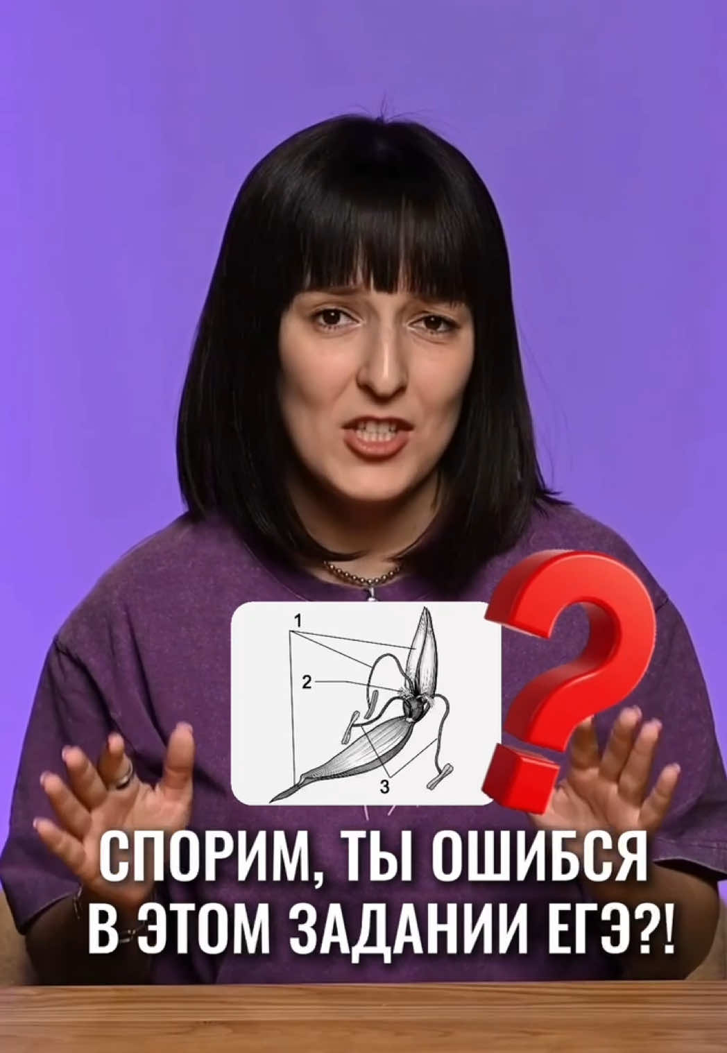 @Алёна Бриз