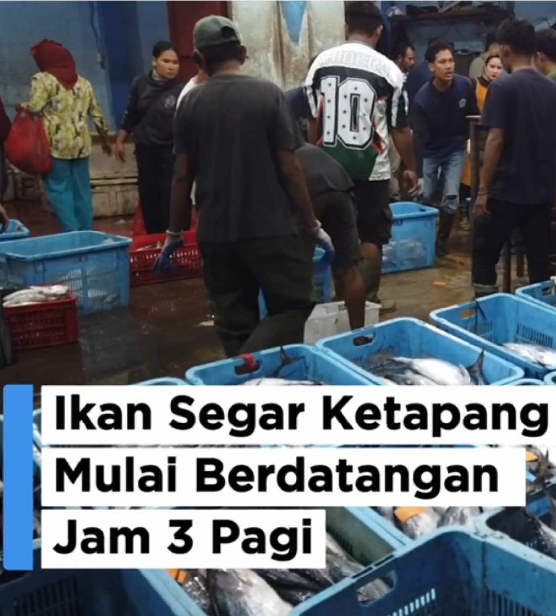 @KETAPANGINFO