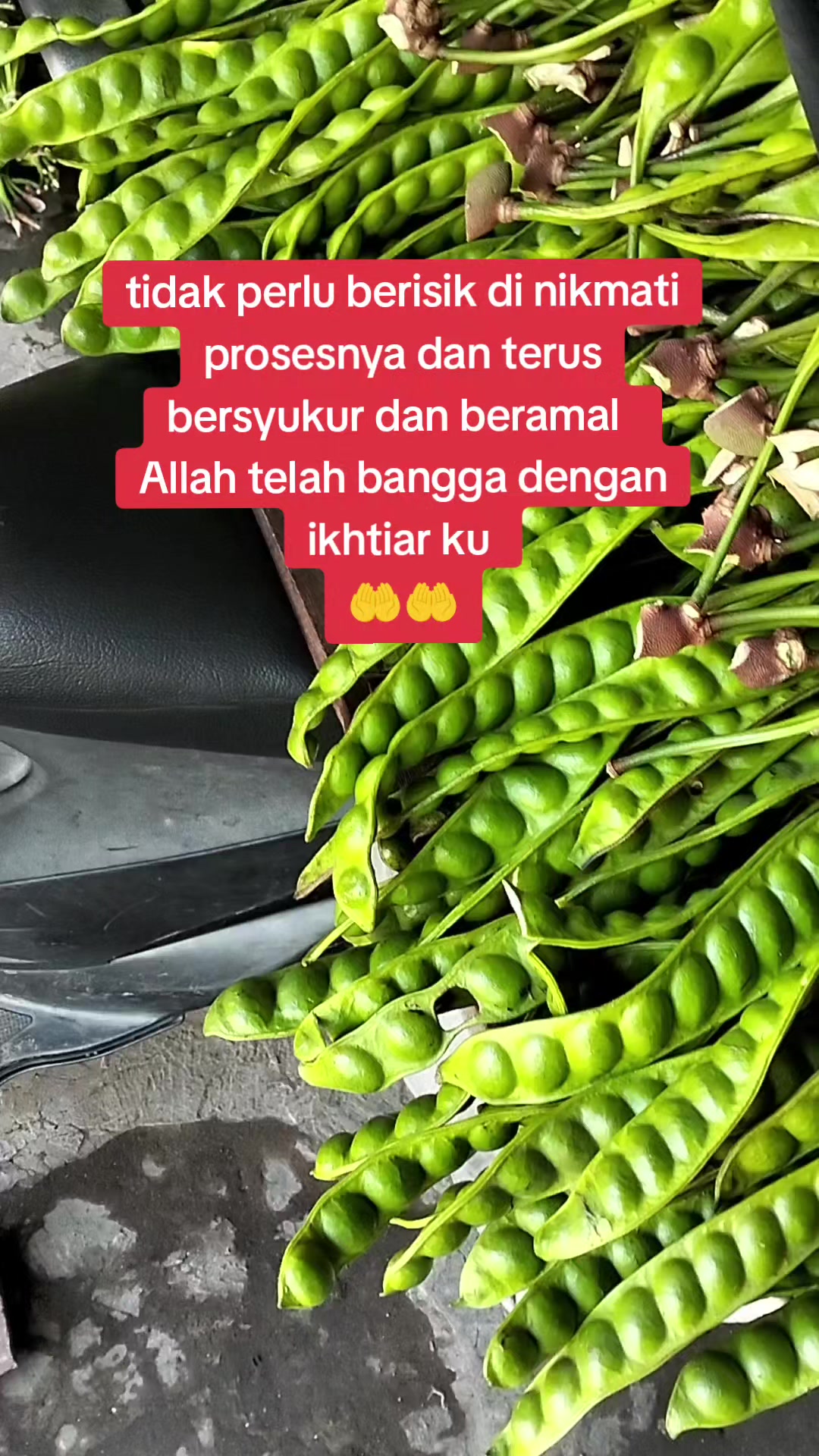 @ARAk_BALI