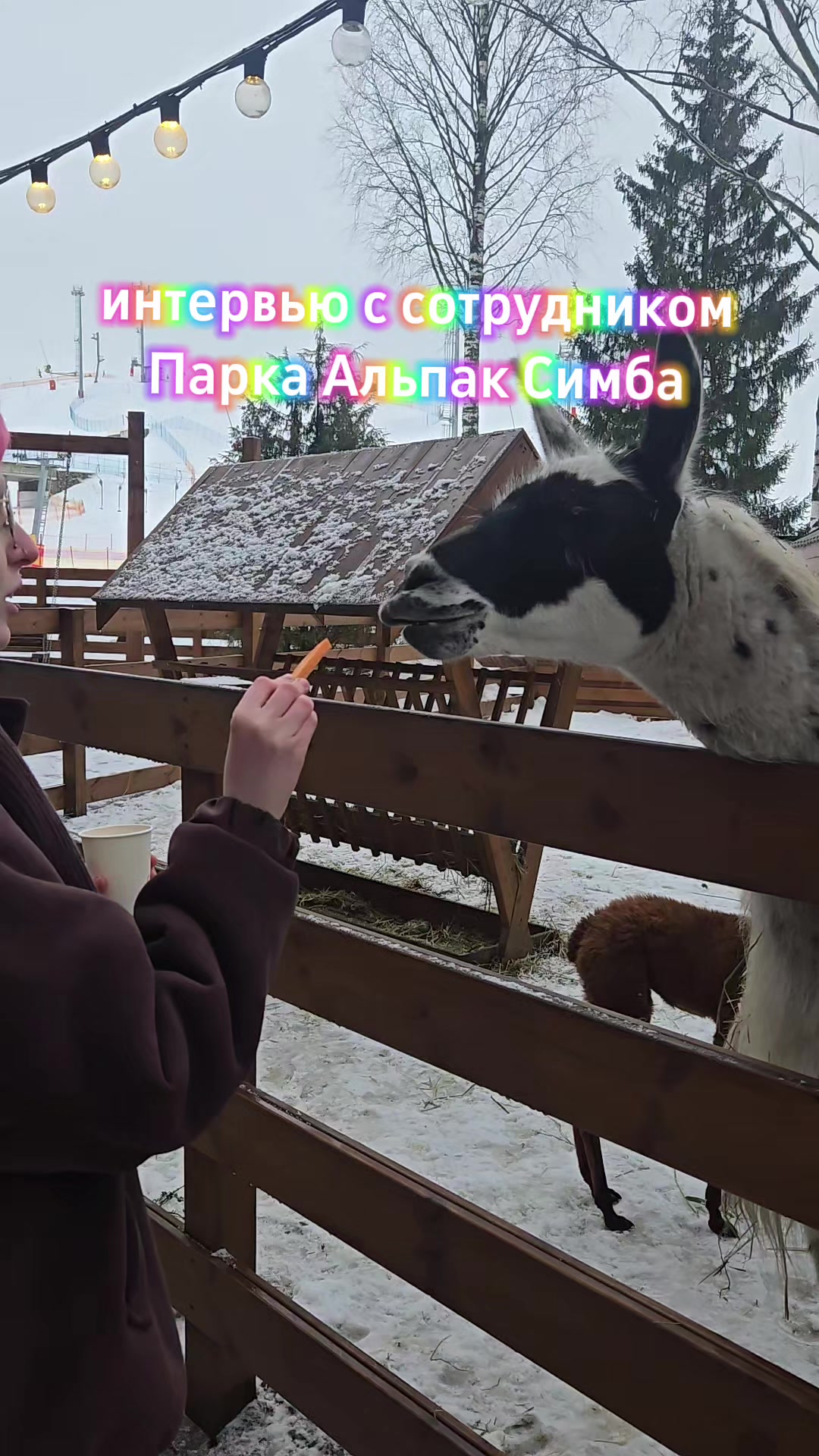 @(сан саныч)