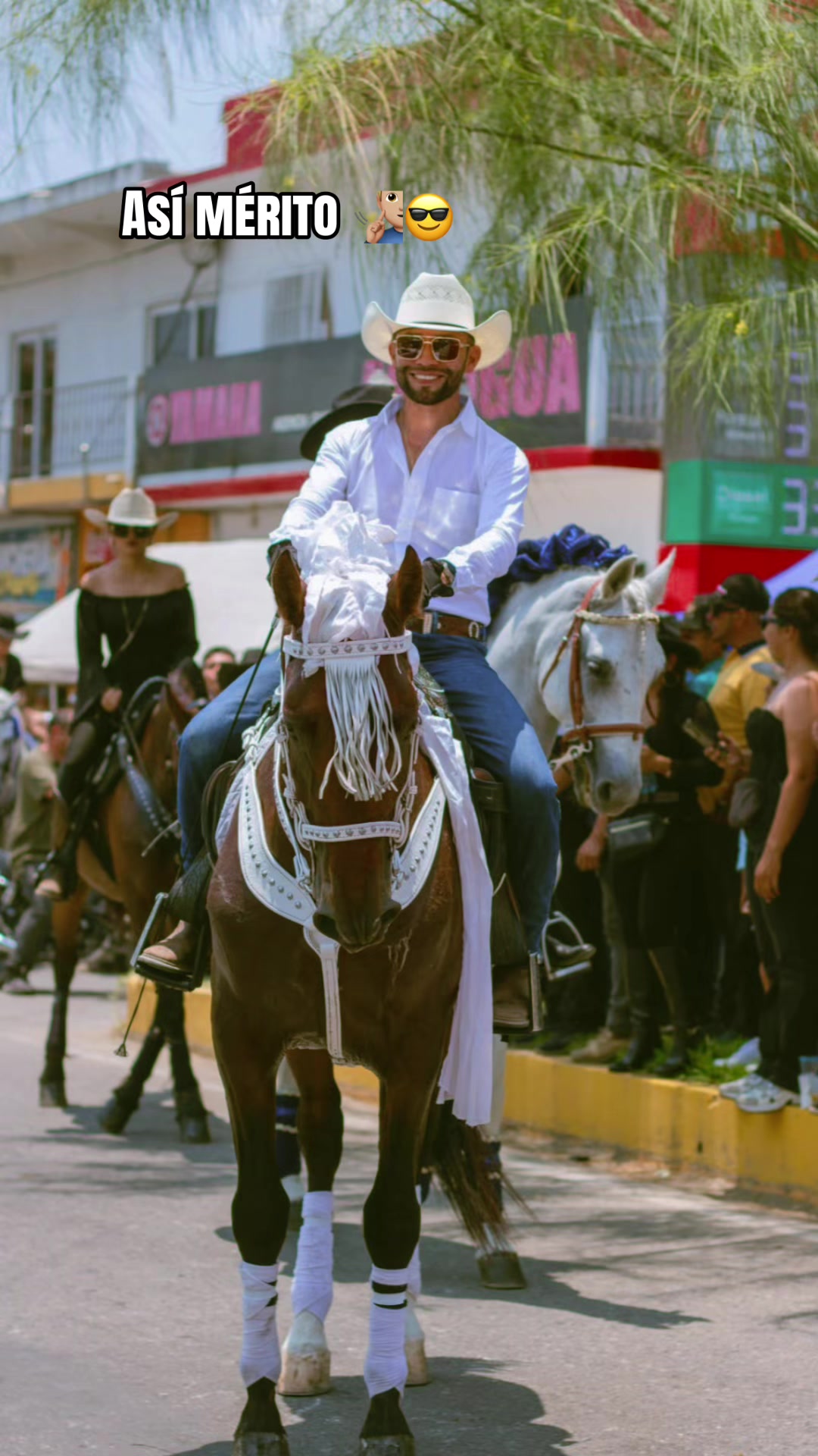 @reydelcaballo.gt