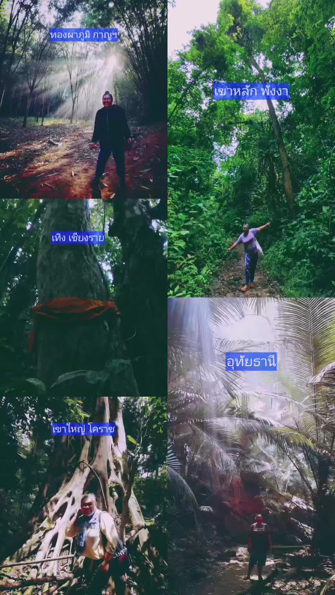@🌳 BongAoy 🌳