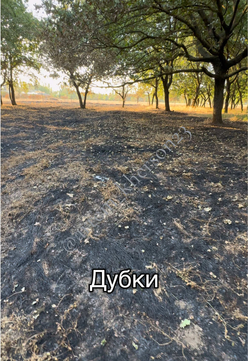 @Артем Великий Херсон🍉