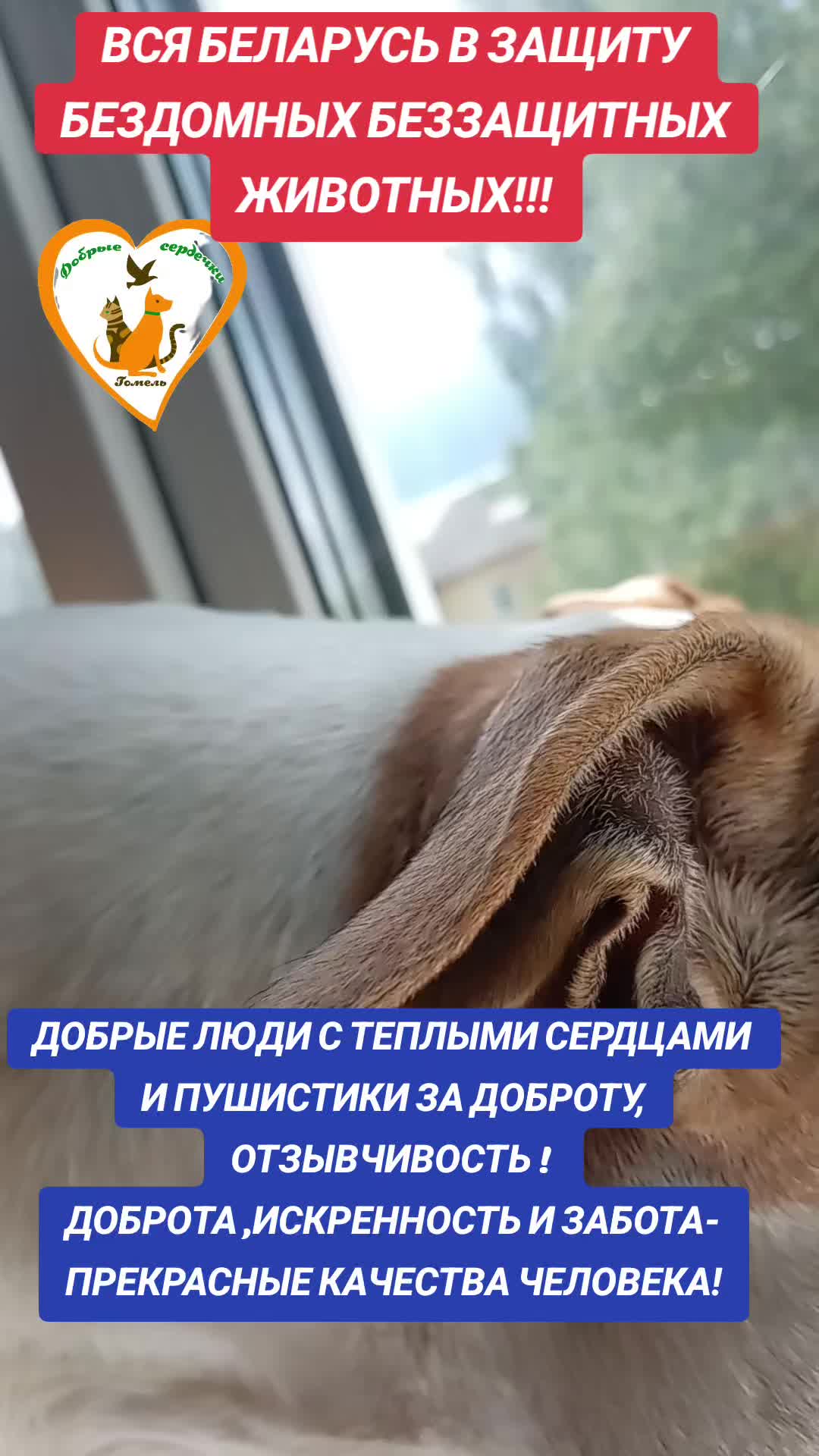 @Марина