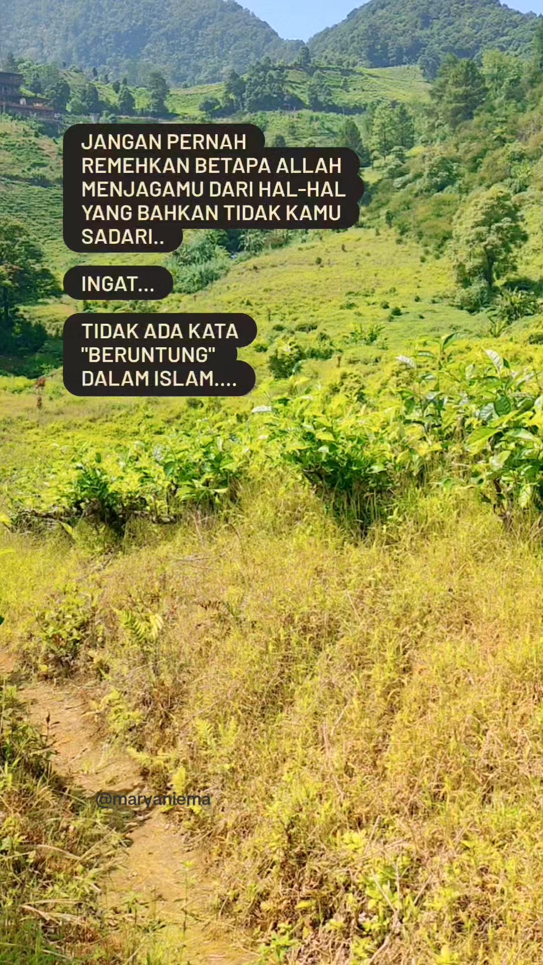 @mamih endut