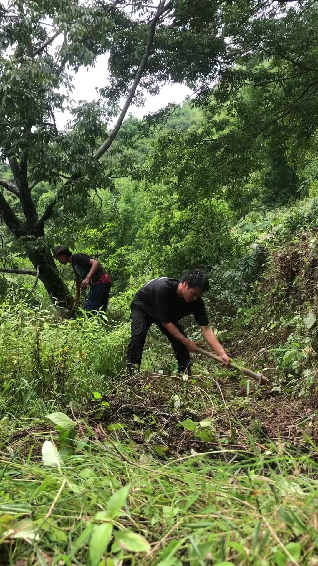 @लोकेश मगर🧿🌿