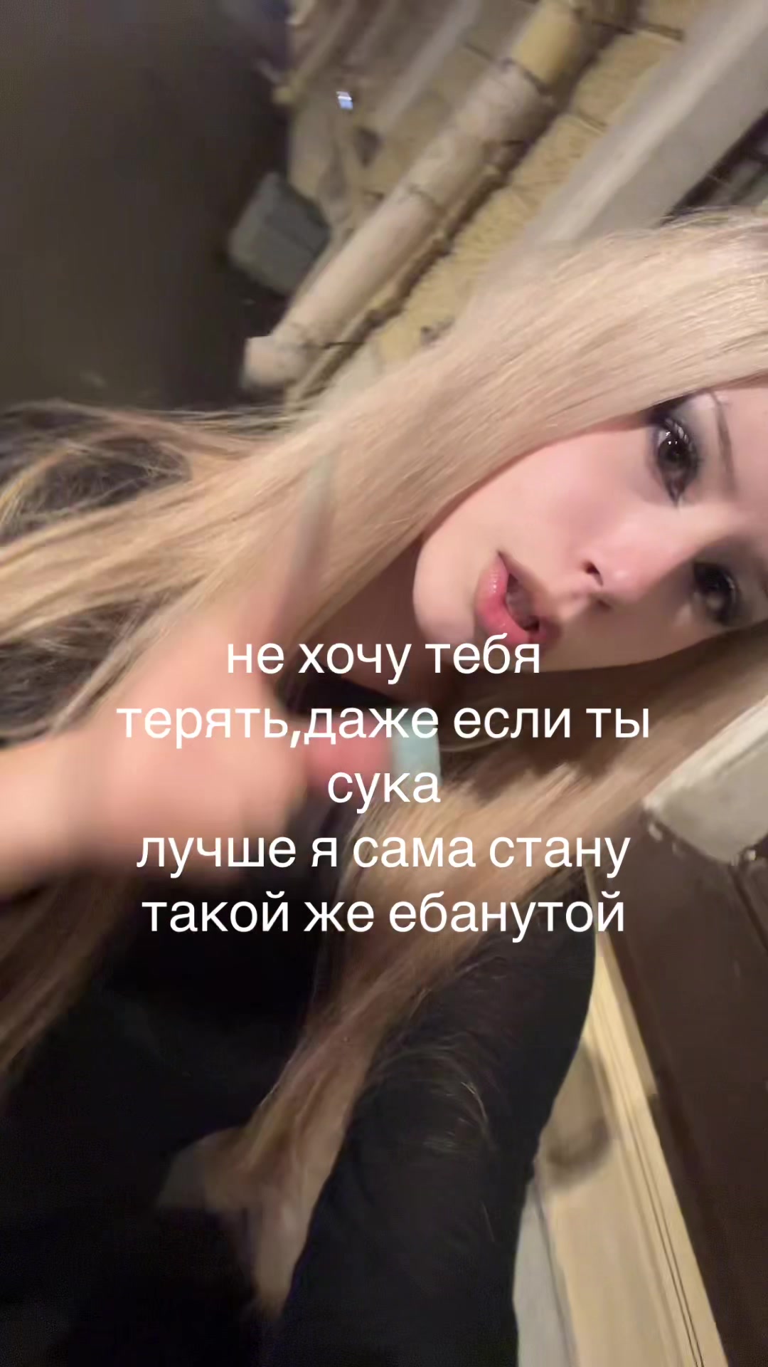 @тгк:meowarr