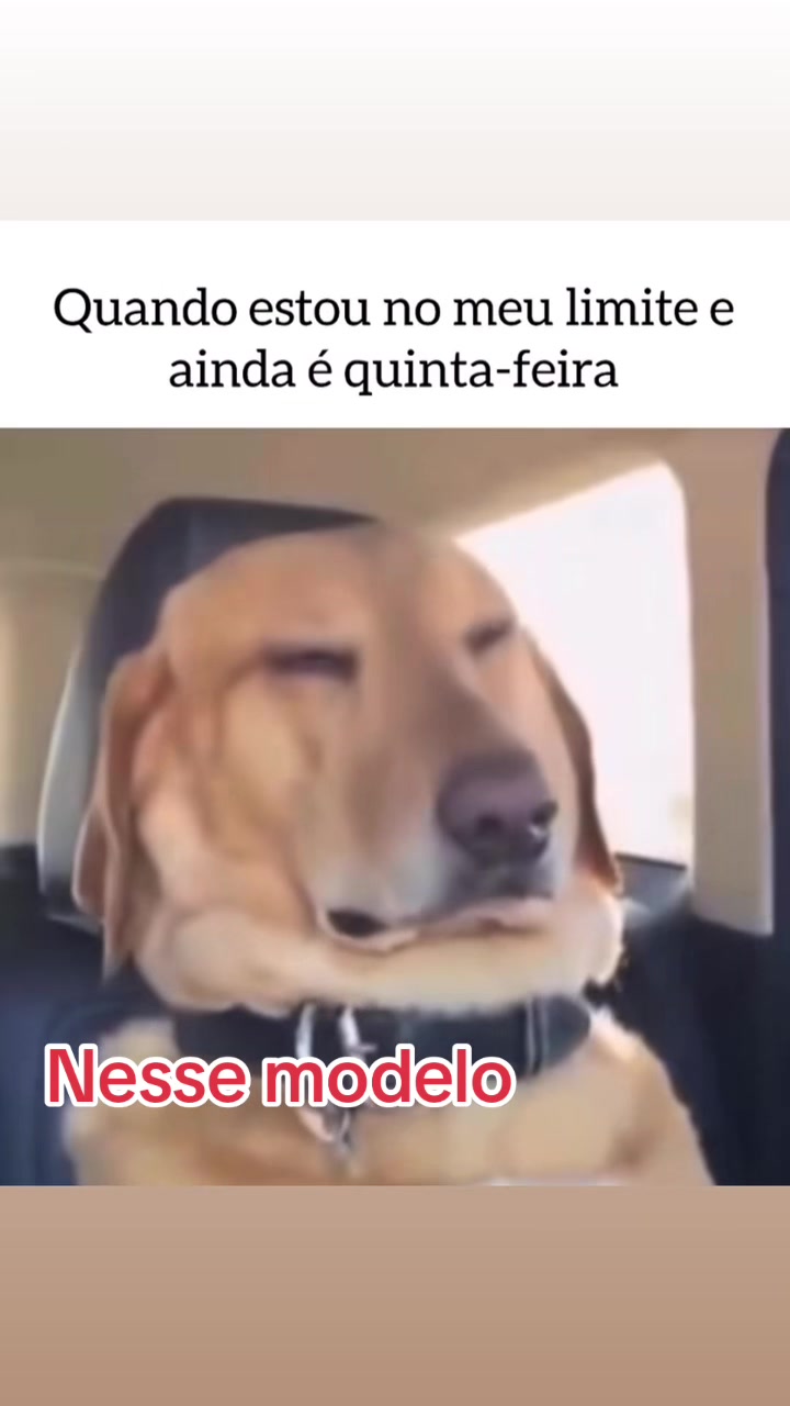 @Lusitonio Machado Do