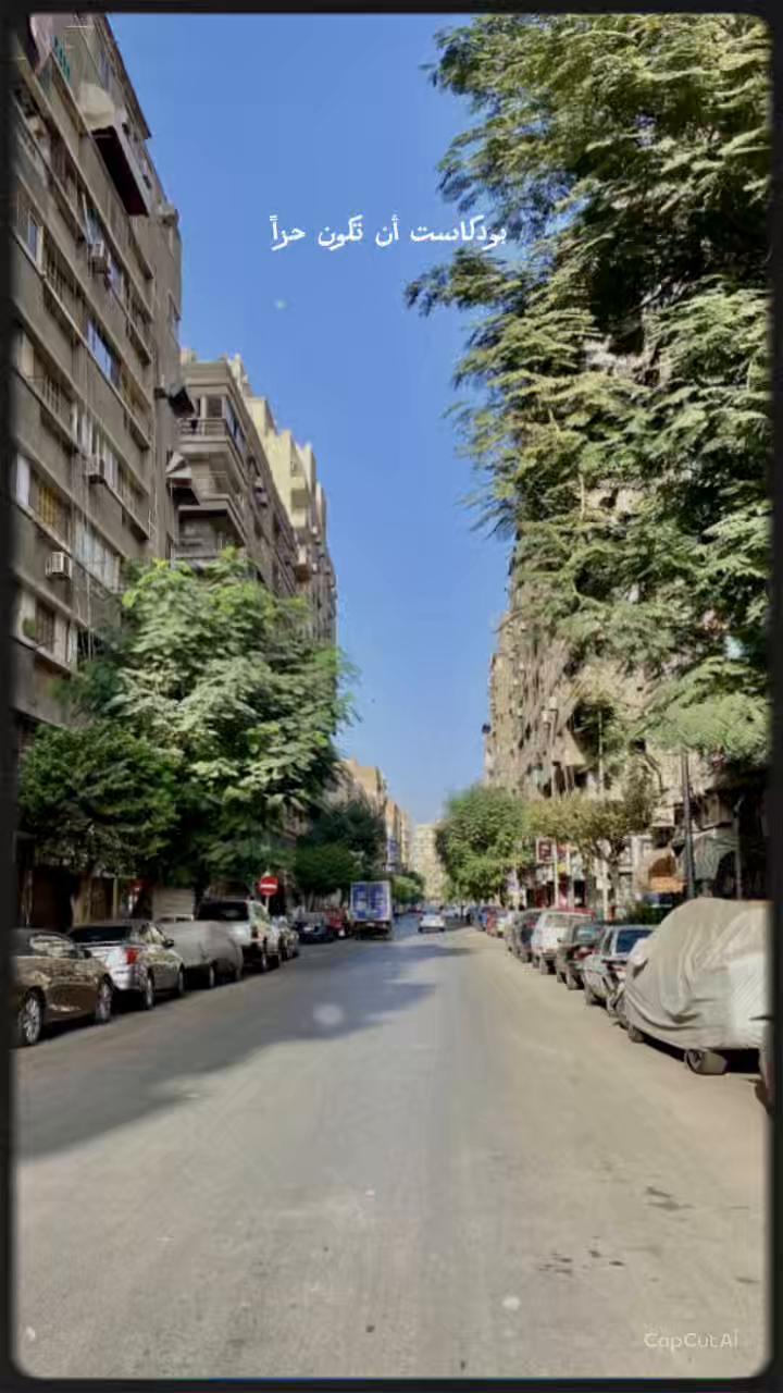 @شادي محمد