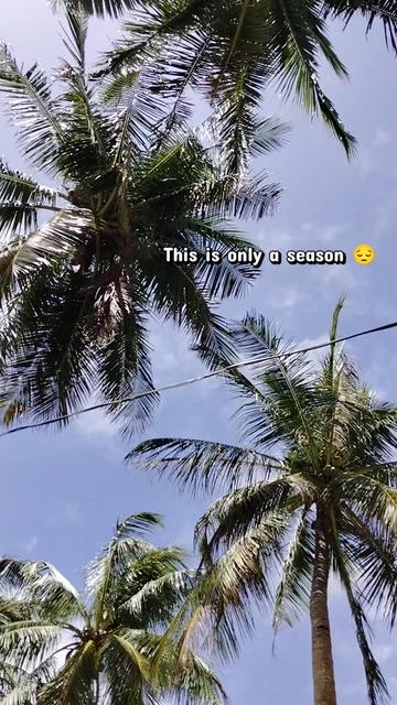 @Mommy Yen