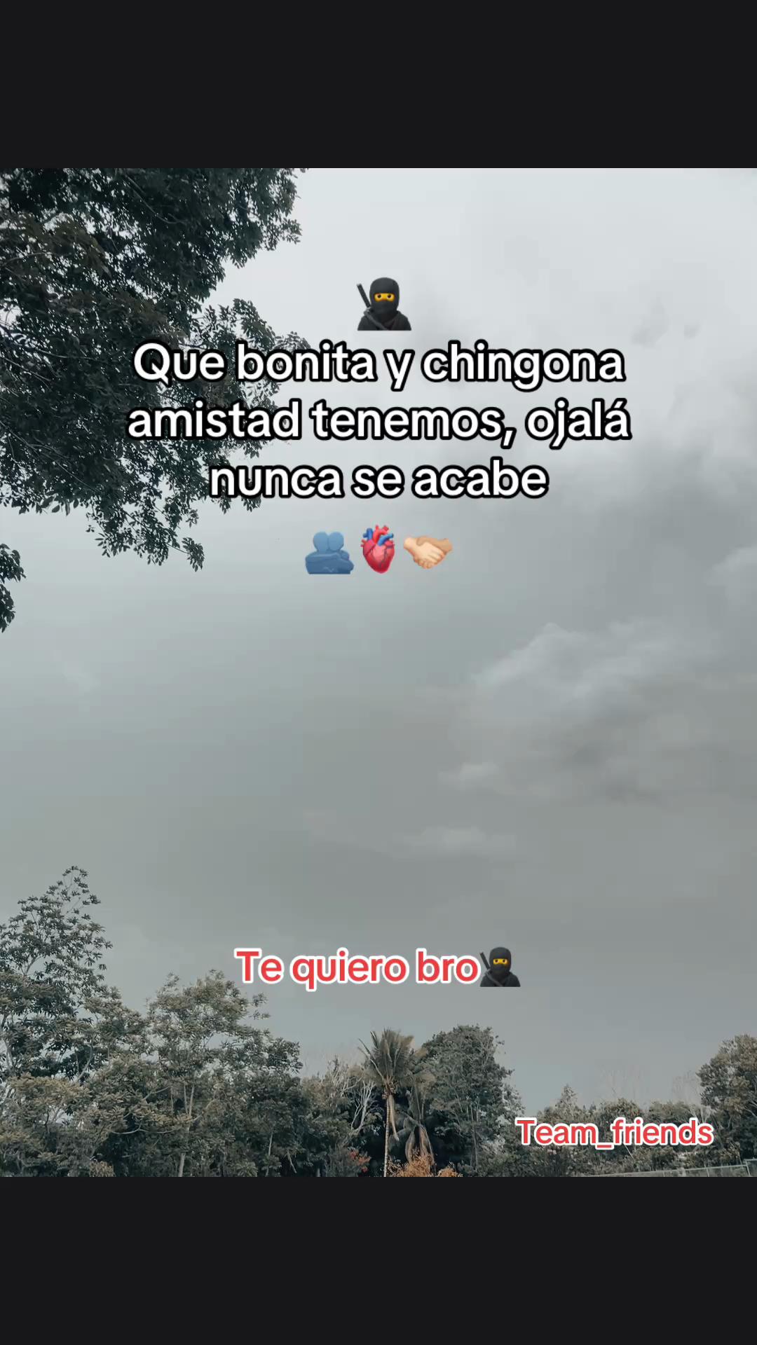 @🤷No disponible 🫤