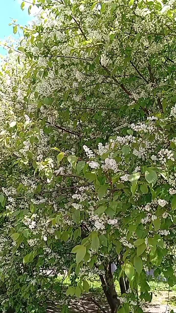 @Танюшка74