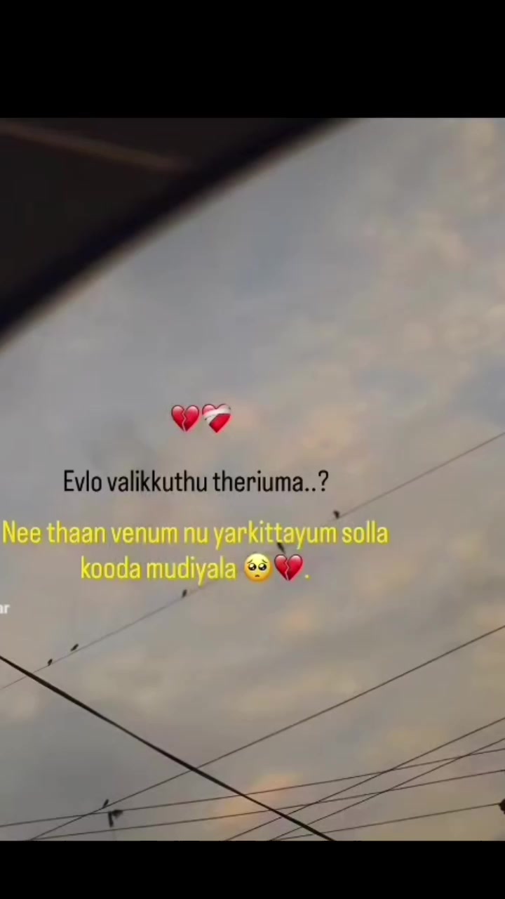 @Meowkutty